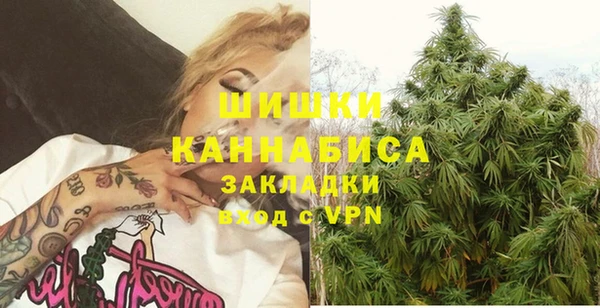 дмт Горно-Алтайск