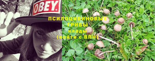 кристаллы Горнозаводск