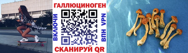 Купить закладки  Кузнецк  Галлюциногенные грибы ЛСД 