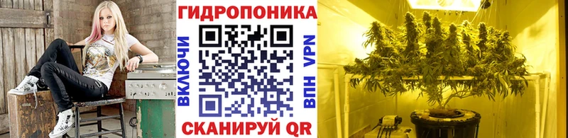 Бошки марихуана тримм  Купить где  Кузнецк 